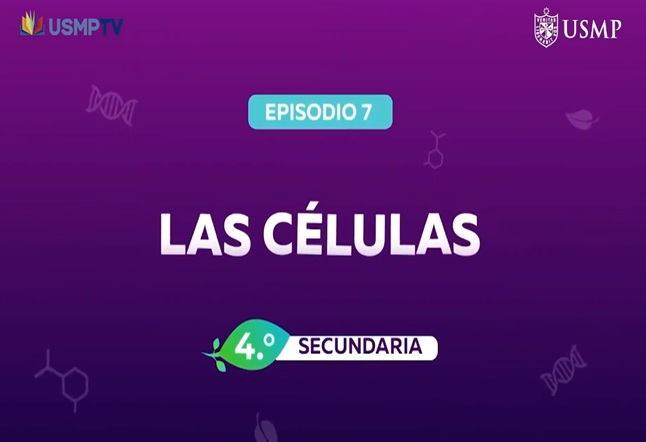 Capítulo N° 7 - Las Células